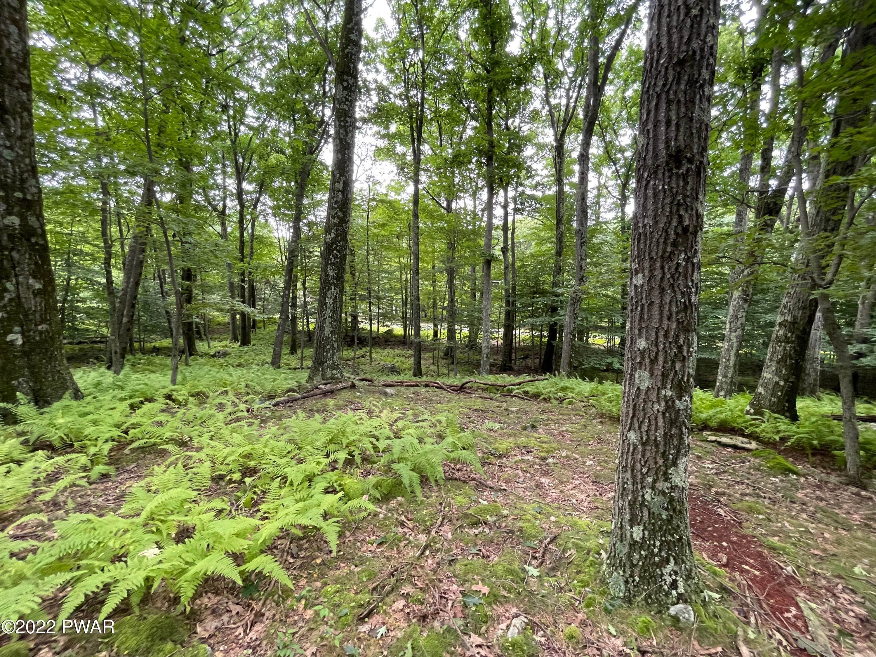 Land for Sale at Lot 63 Skyline Dr Canadensis, Pennsylvania 18325 United States