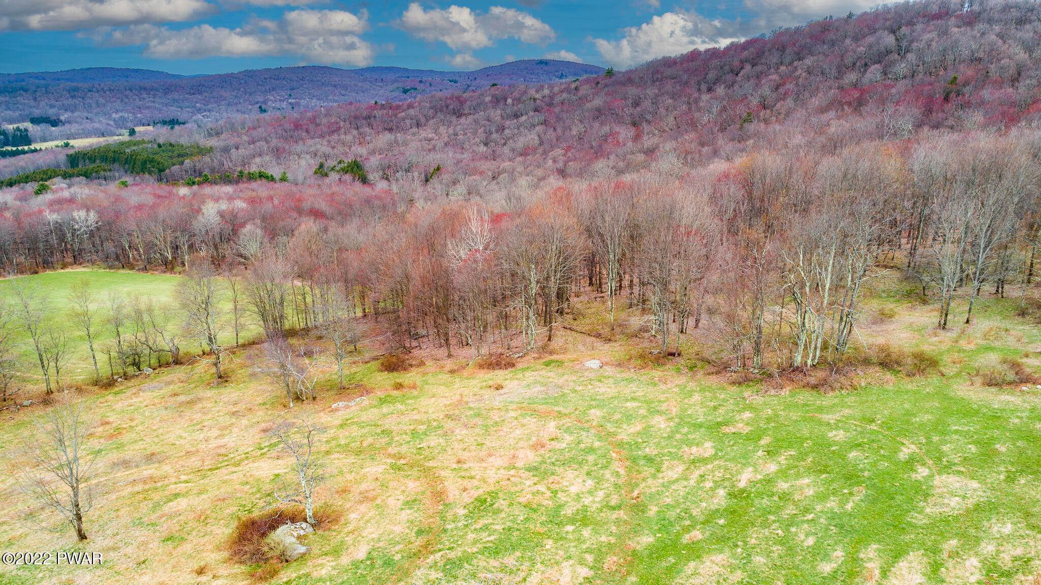 8. Land for Sale at Lot 3.1 Peters Rd Fremont Center, New York 12726 United States