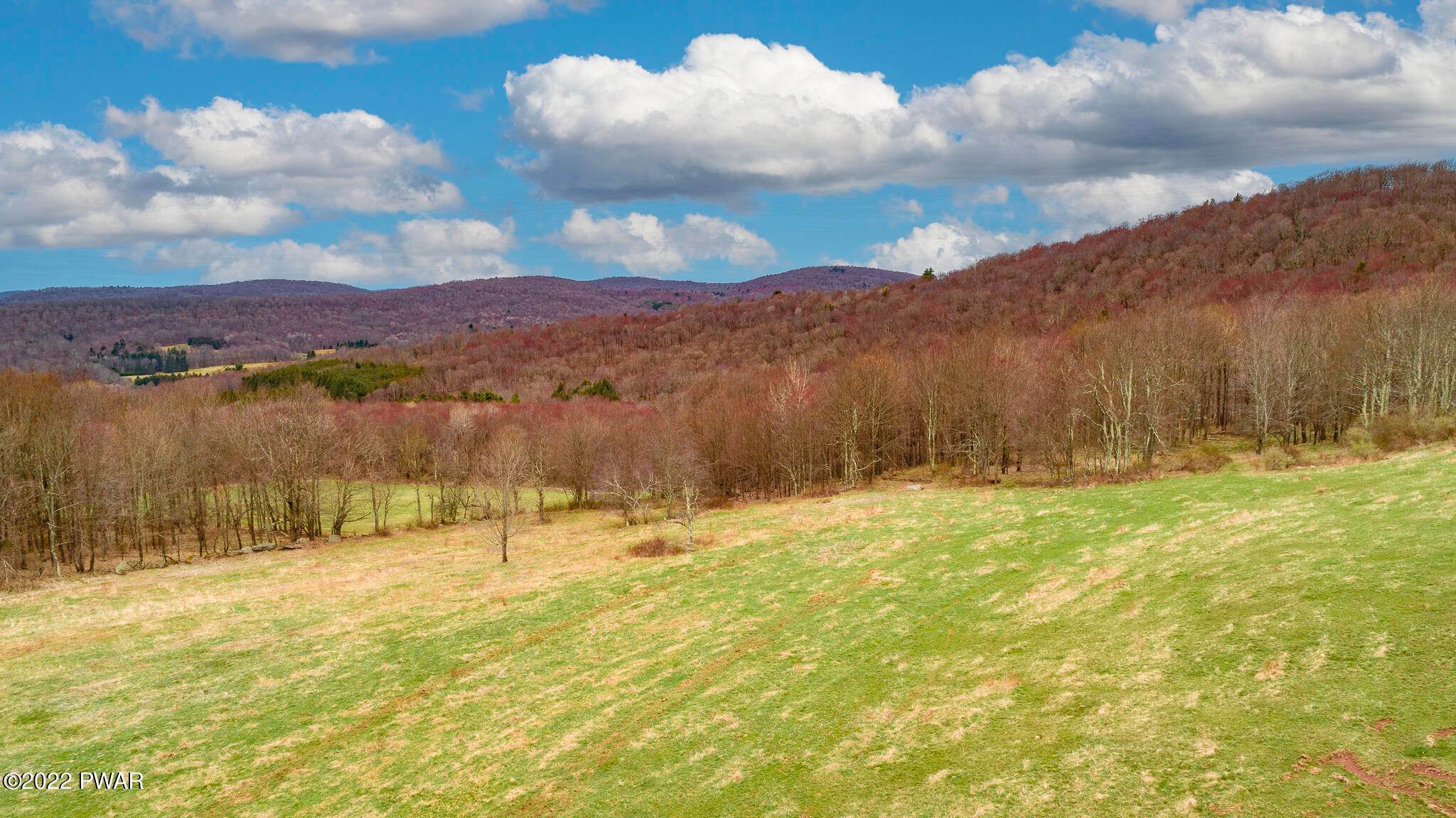 10. Land for Sale at Lot 3.1 Peters Rd Fremont Center, New York 12726 United States