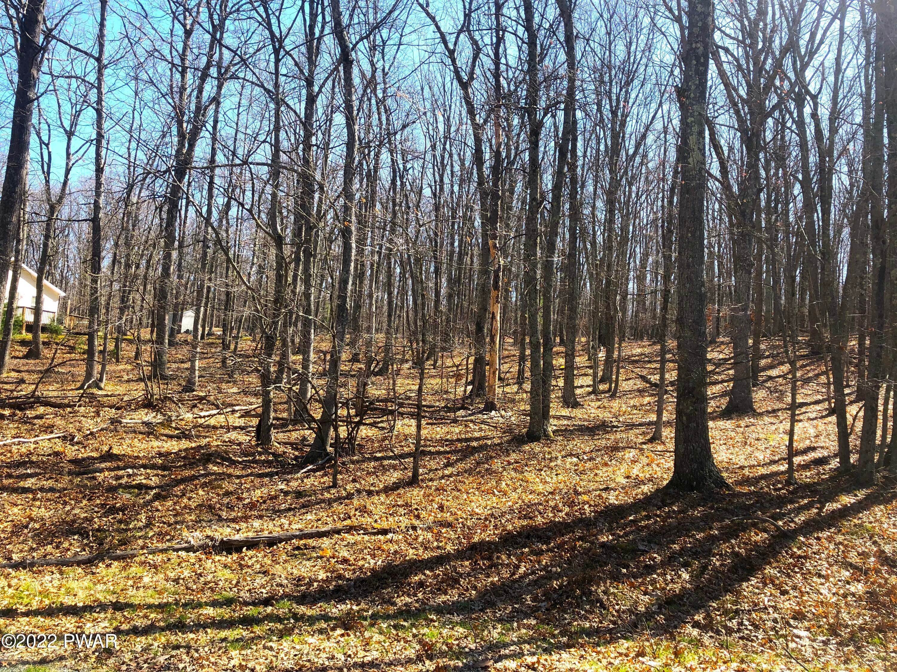 2. Land for Sale at 250 Lilly Pad Ln Hawley, Pennsylvania 18428 United States