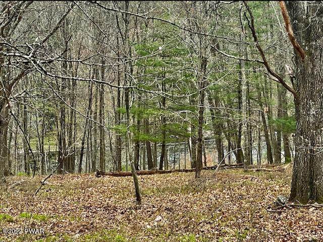 Property for Sale at Lots 7,8, 17 & 18 Blossom Rd Lots 7,8, 17 &Amp; 18 Blossom Rd Lackawaxen, Pennsylvania 18435 United States