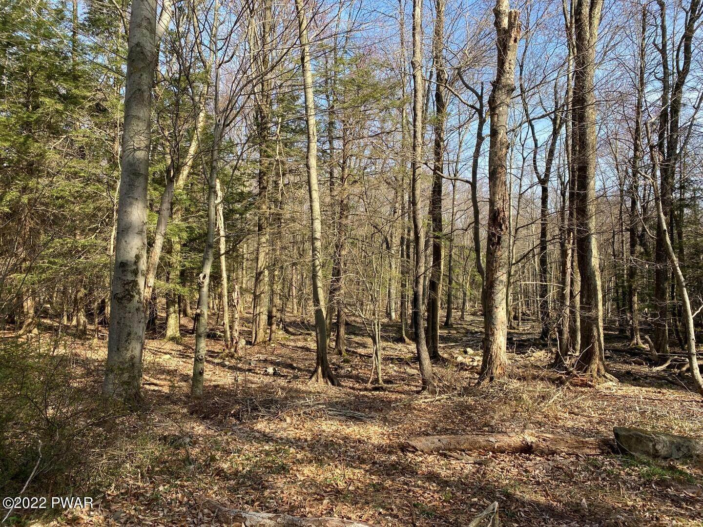 3. Land for Sale at Wilderbrooke Drive Newfoundland, Pennsylvania 18445 United States