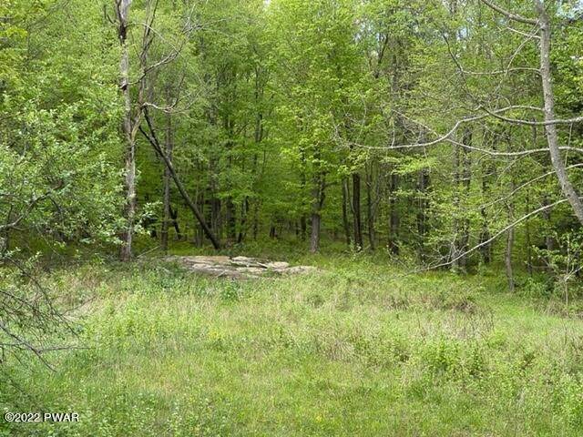 Land for Sale at 221 Stockport Rd Lake Como, Pennsylvania 18437 United States