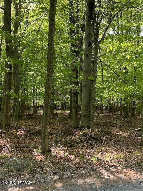5. Land for Sale at 1901 &1902 Horizon Dr 1901 &Amp;1902 Horizon Dr Greentown, Pennsylvania OTHER United States