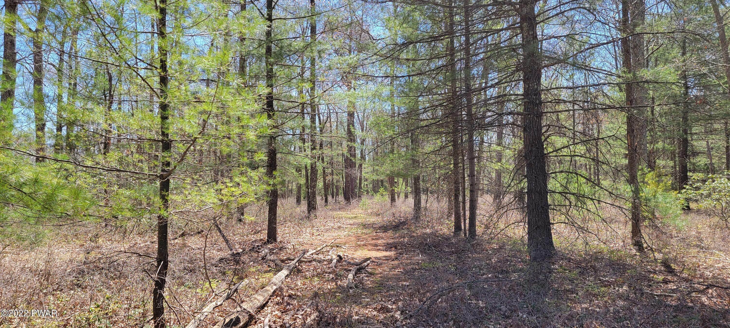 2. Land for Sale at Lot 3 Crystal Lake Rd Bethel, New York 12720 United States