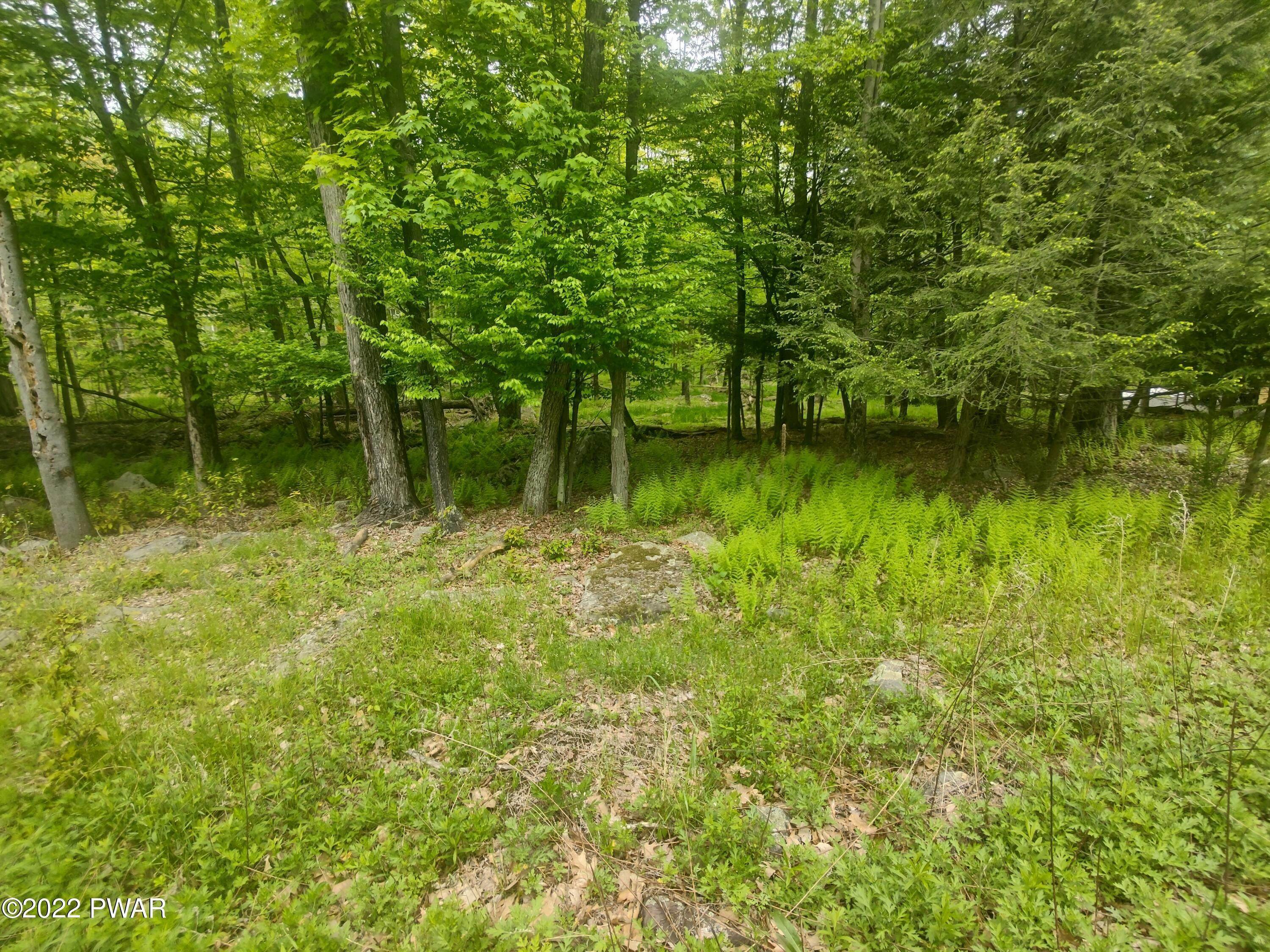 4. Land for Sale at 9 Wallenpaupack Dr Lake Ariel, Pennsylvania 18436 United States