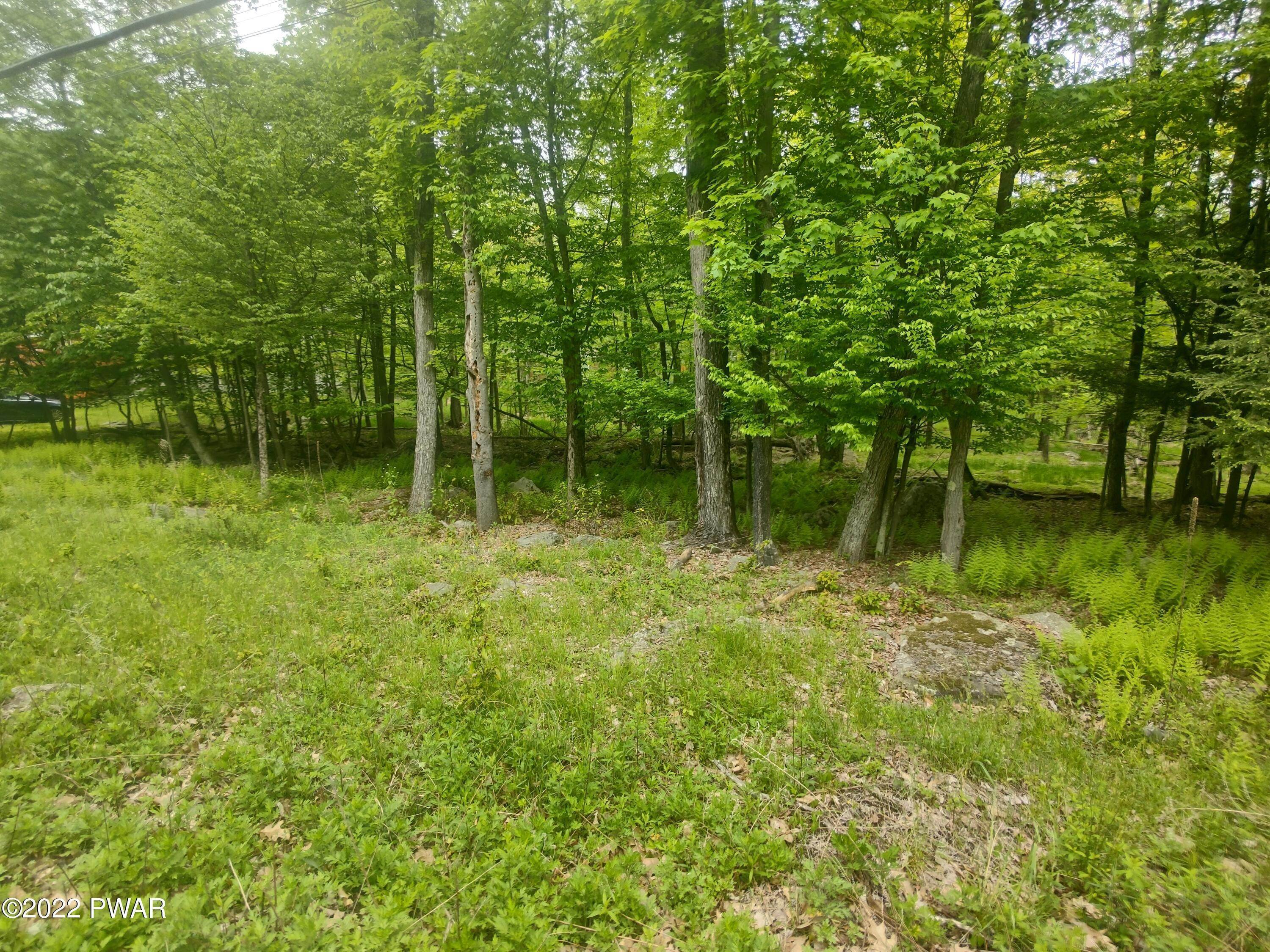 5. Land for Sale at 9 Wallenpaupack Dr Lake Ariel, Pennsylvania 18436 United States