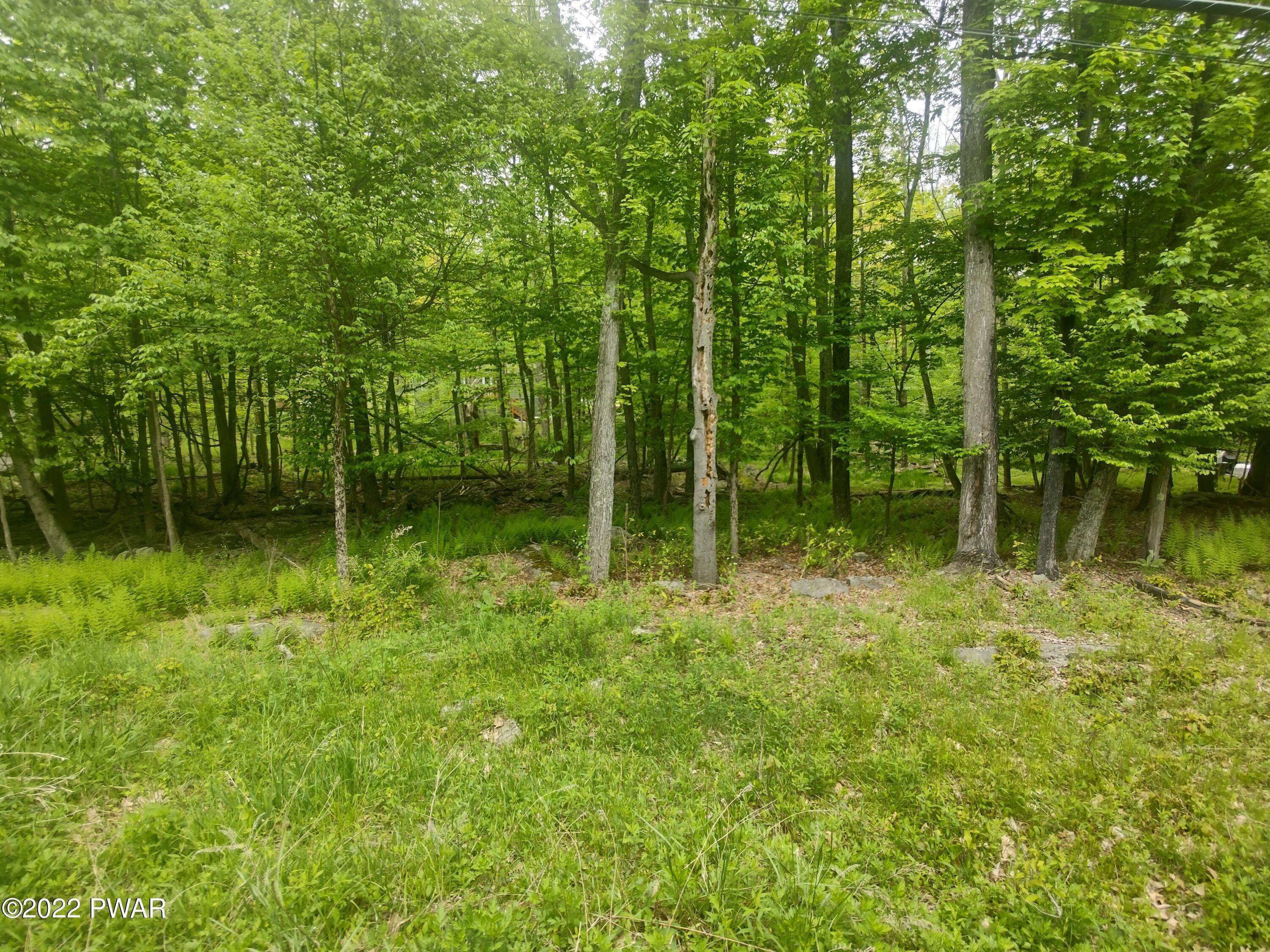 1. Land for Sale at 11 Wallenpaupack Dr Lake Ariel, Pennsylvania 18436 United States