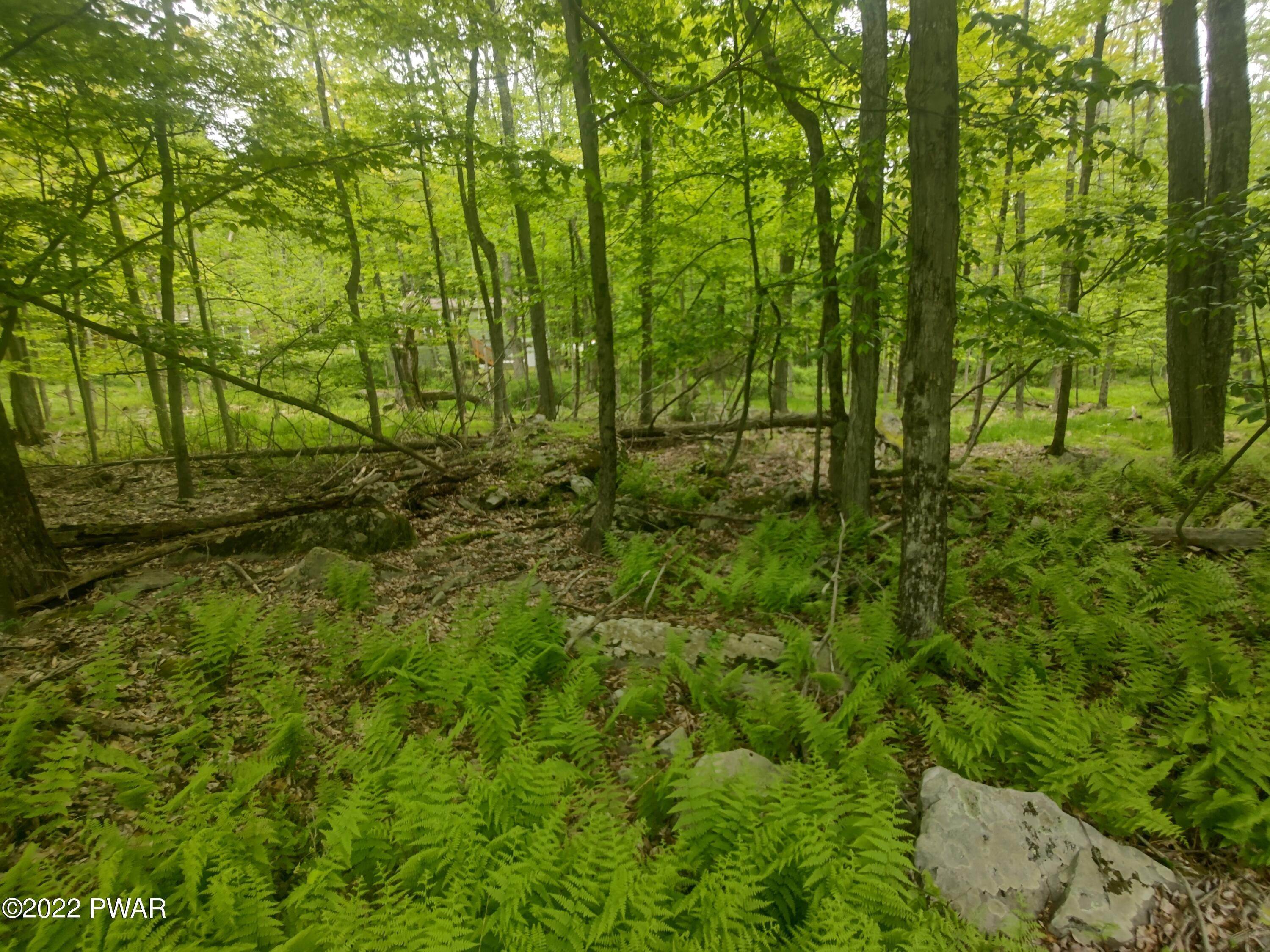 9. Land for Sale at 9 Wallenpaupack Dr Lake Ariel, Pennsylvania 18436 United States