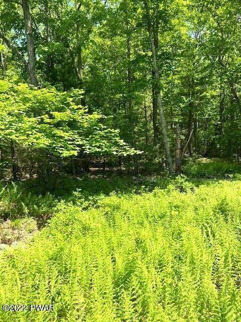 2. Land for Sale at Water Forest/End Fern Dr. Dr Milford, Pennsylvania 18337 United States