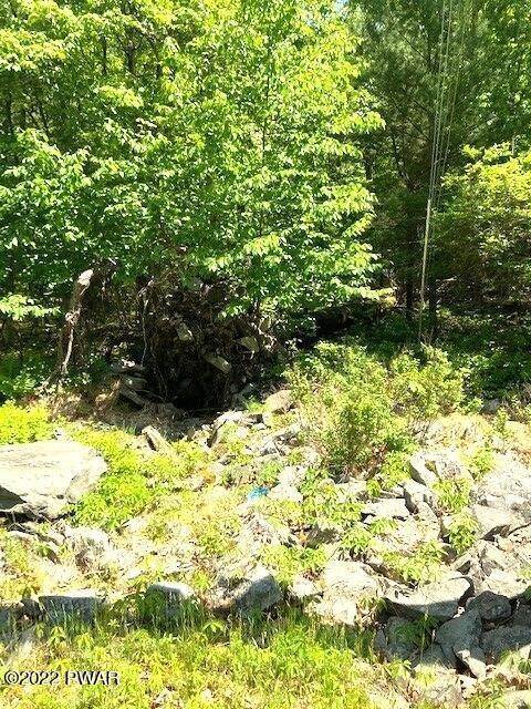 4. Land for Sale at Water Forest/End Fern Dr. Dr Milford, Pennsylvania 18337 United States