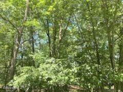6. Land for Sale at Lot 50 Hidden Valley Ct Lake Ariel, Pennsylvania 18436 United States