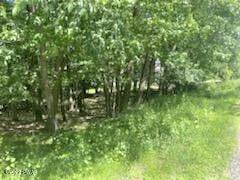 9. Land for Sale at Lot 50 Hidden Valley Ct Lake Ariel, Pennsylvania 18436 United States