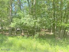 5. Land for Sale at Lot 50 Hidden Valley Ct Lake Ariel, Pennsylvania 18436 United States