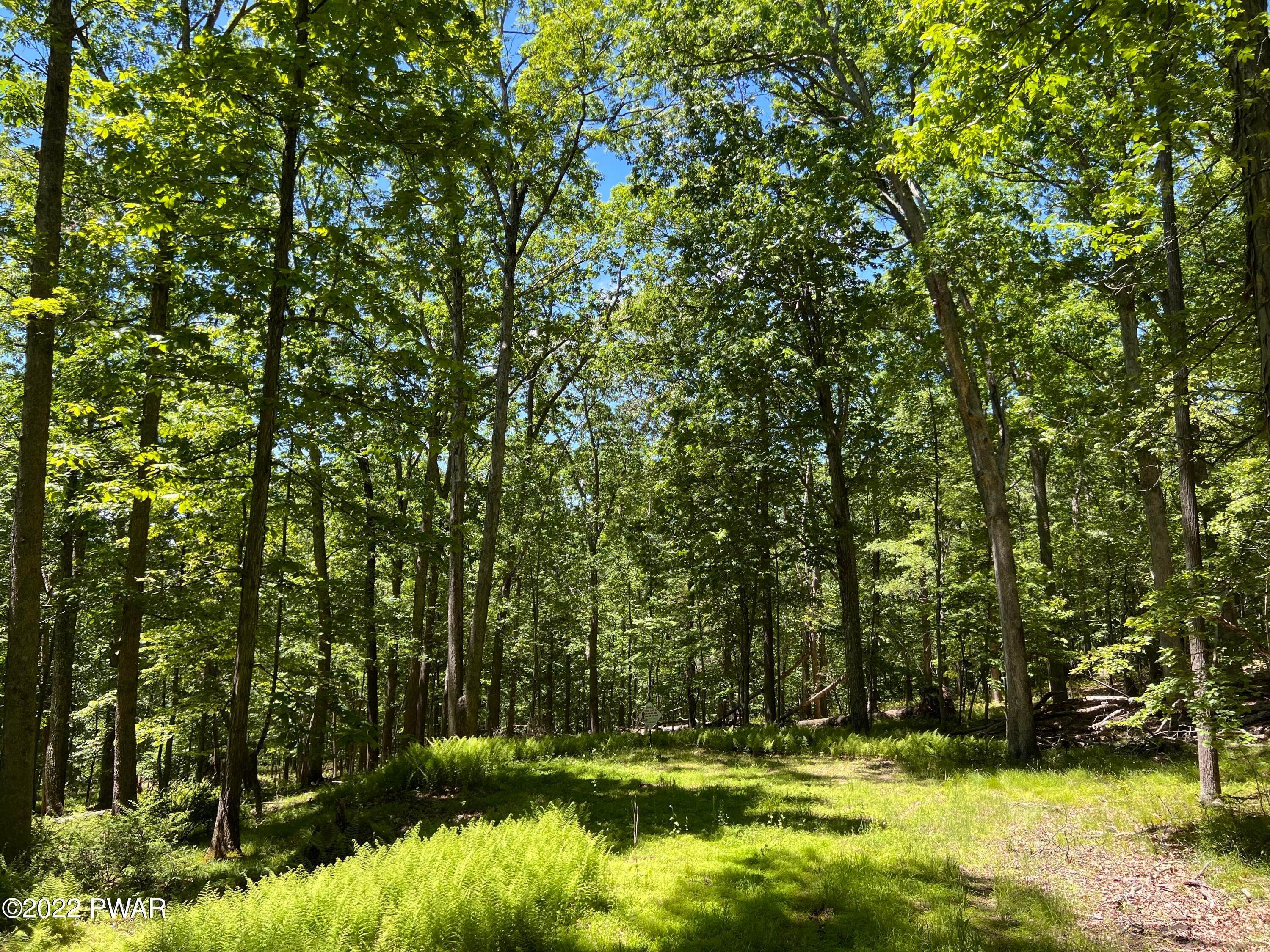 16. Land for Sale at Lot 27 Mountain Top Rd Lackawaxen, Pennsylvania 18435 United States