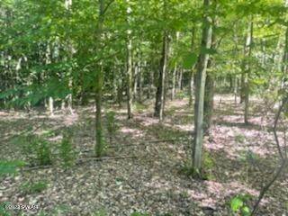 Land for Sale at S R 438 Scott Township, Pennsylvania 18407 United States