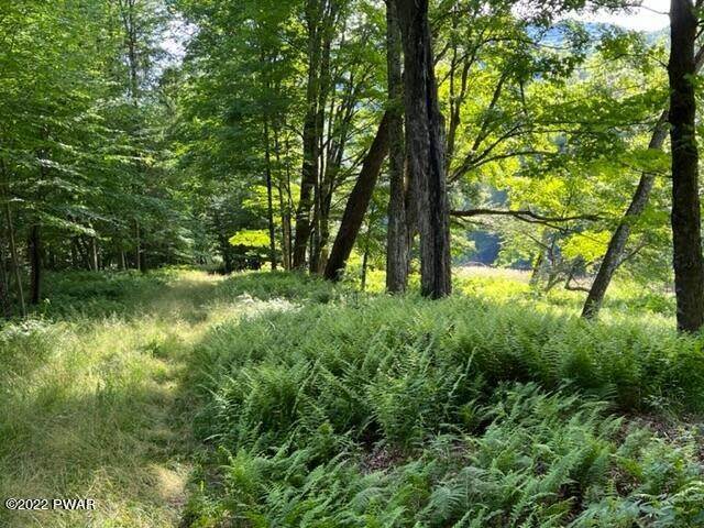 11. Land for Sale at 6450 Ny-30 Downsville, New York 13755 United States