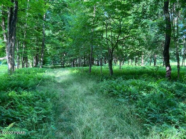 13. Land for Sale at 6450 Ny-30 Downsville, New York 13755 United States
