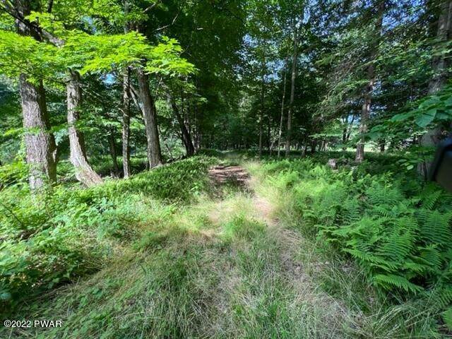 19. Land for Sale at 6450 Ny-30 Downsville, New York 13755 United States