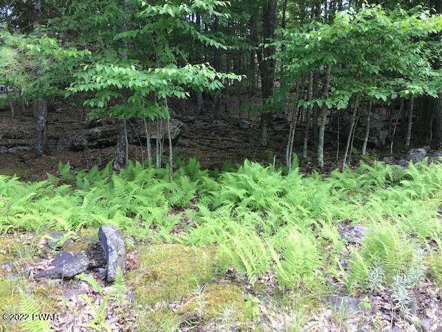 Land for Sale at 105 Overlook Ct. Lackawaxen, Pennsylvania 18435 United States