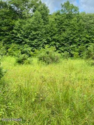 8. Land for Sale at Rotten Rd Equinunk, Pennsylvania 18417 United States