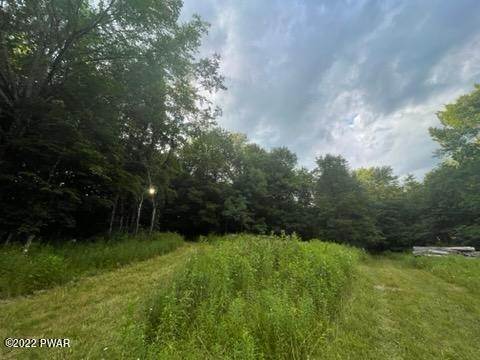 19. Land for Sale at Rotten Rd Equinunk, Pennsylvania 18417 United States