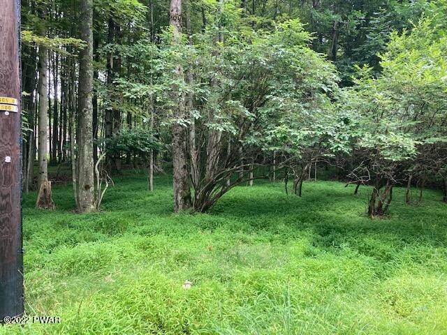 7. Land for Sale at Lot 131 Reid Rd Lake Ariel, Pennsylvania 18436 United States
