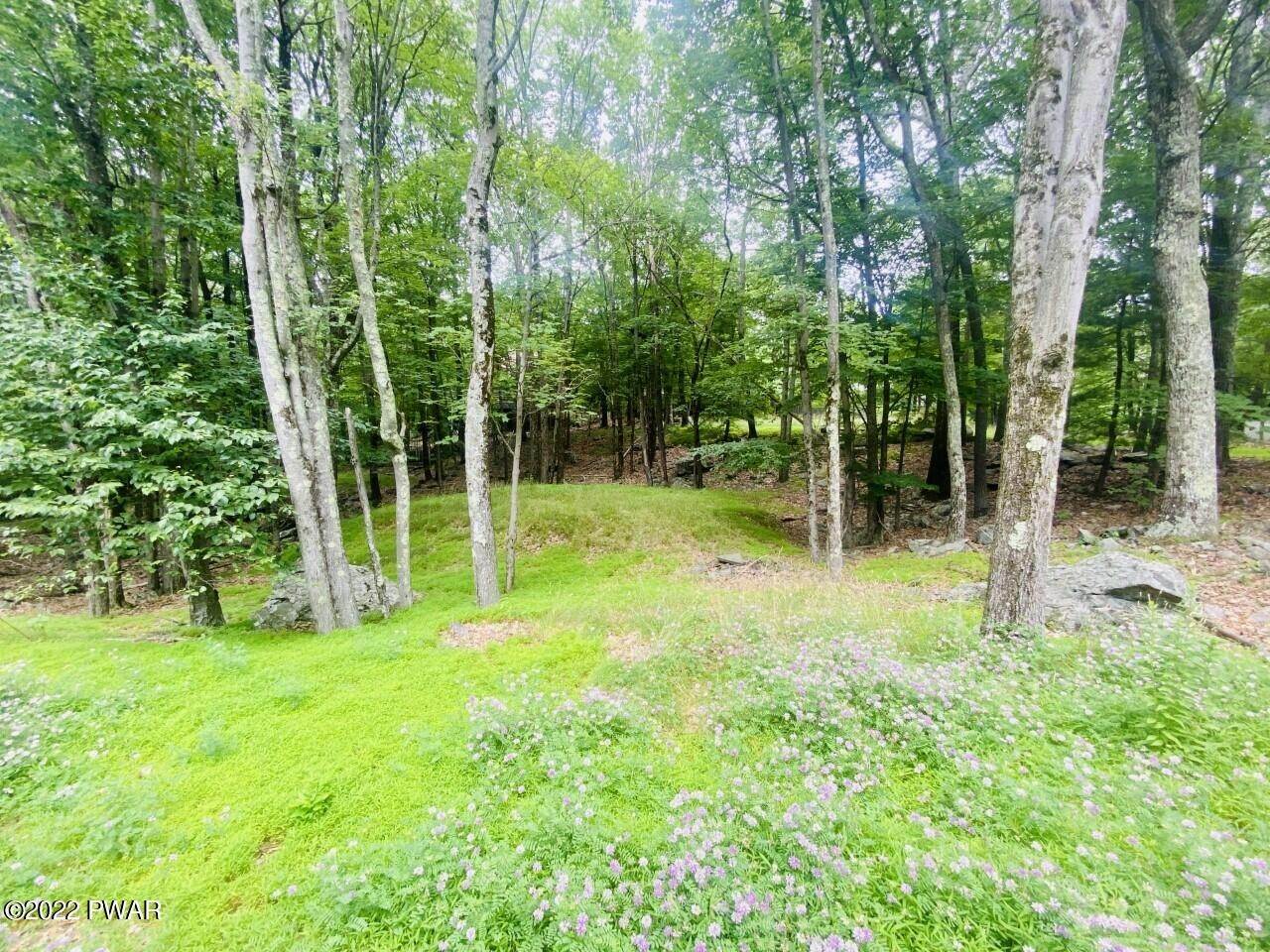 5. Land for Sale at 115 Saddlebrook Ln Lords Valley, Pennsylvania 18428 United States