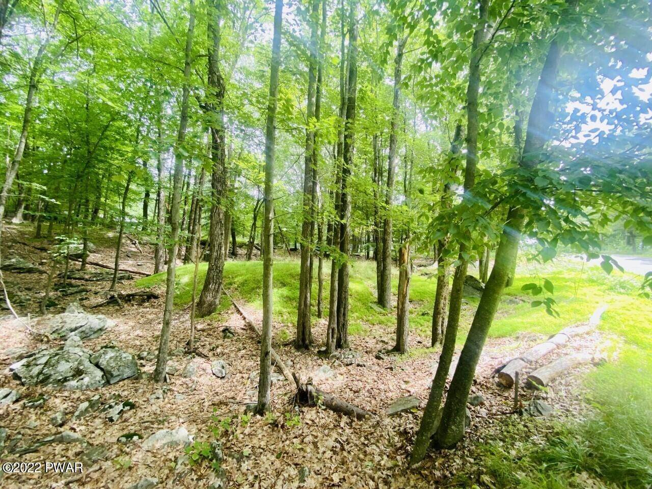 6. Land for Sale at 115 Saddlebrook Ln Lords Valley, Pennsylvania 18428 United States