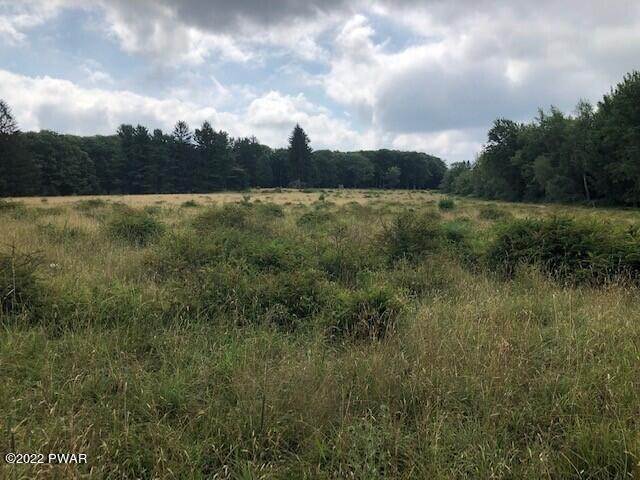34. Land for Sale at Shiny Mountain Rd Greentown, Pennsylvania 18426 United States