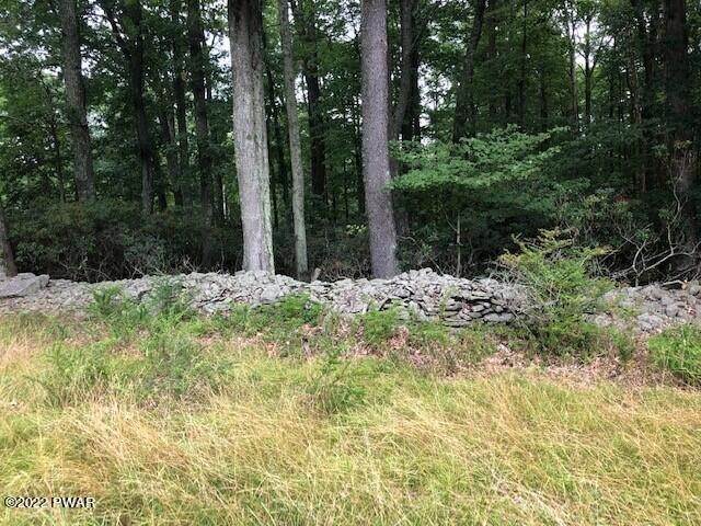7. Land for Sale at Shiny Mountain Rd Greentown, Pennsylvania 18426 United States
