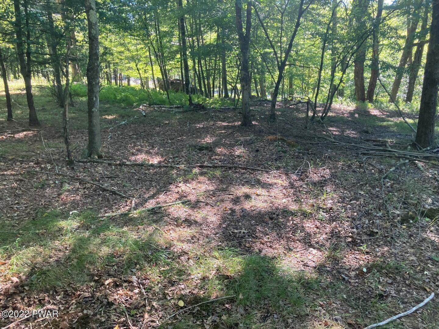 6. Land for Sale at Lot 176 Tink Wig Dr Hawley, Pennsylvania 18428 United States
