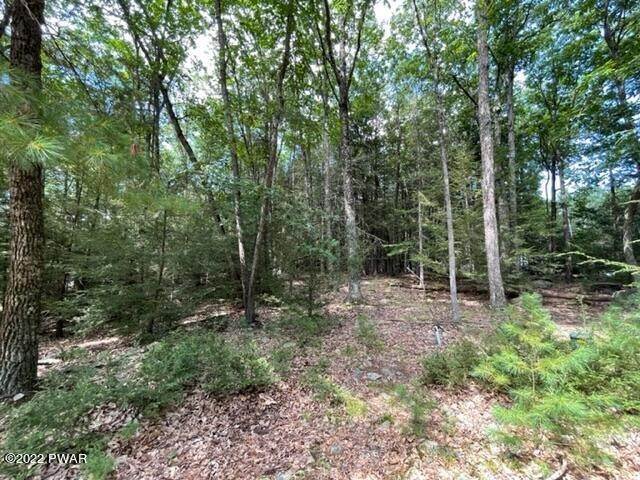 5. Land for Sale at 29 Spring Brook Cir Lakeville, Pennsylvania 18436 United States