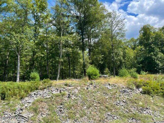4. Land for Sale at 108 Blue Heron Way Hawley, Pennsylvania 18428 United States