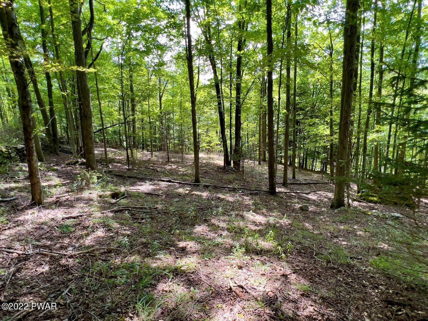 21. Land for Sale at 159 Torrey Rd Honesdale, Pennsylvania 18431 United States