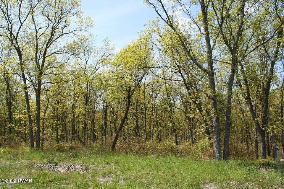2. Land for Sale at 337 Blue Heron Way Hawley, Pennsylvania 18428 United States