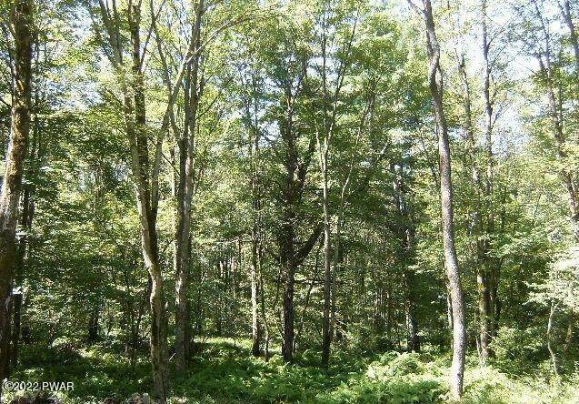 Property for Sale at Old Milford Rd. & 739 Dingmans Ferry, Pennsylvania 18328 United States