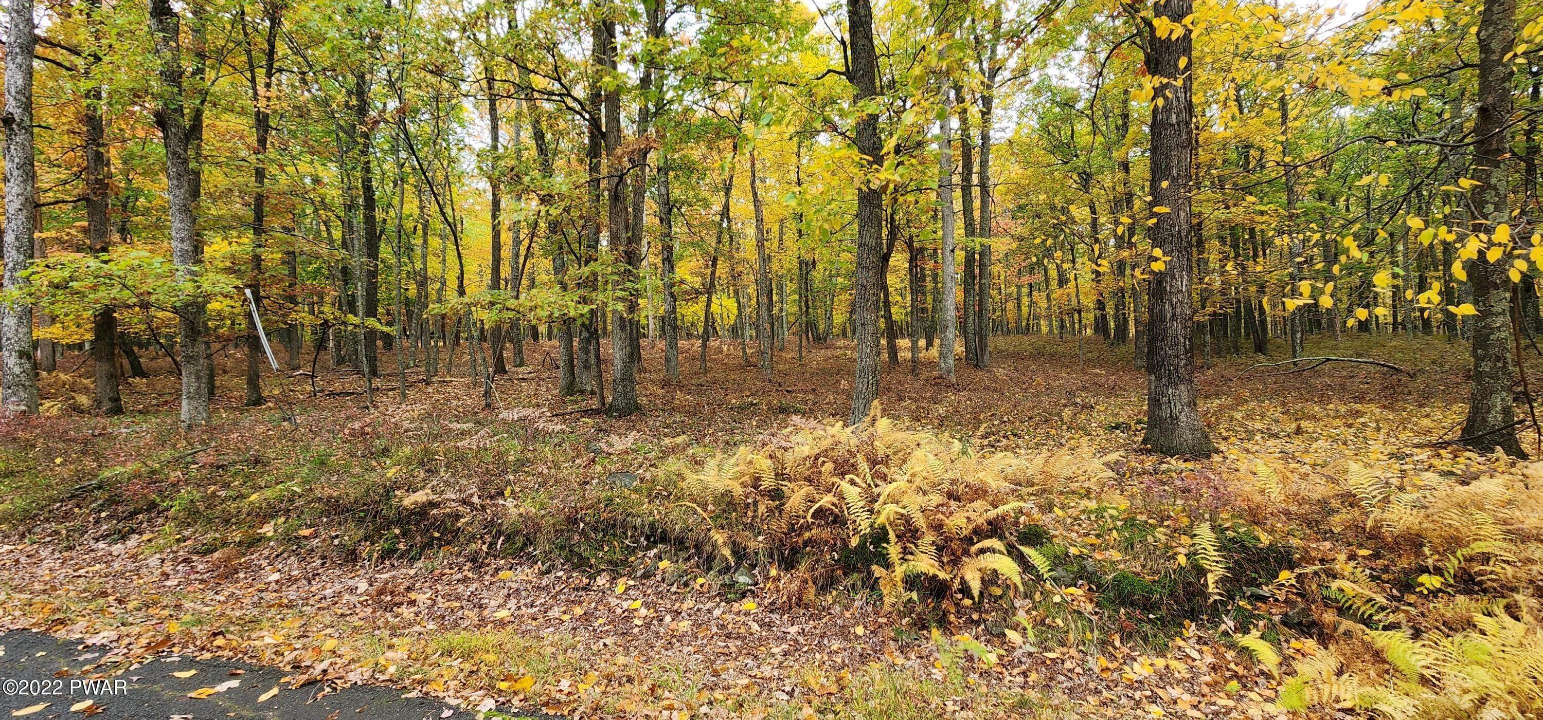 7. Land for Sale at 219 Cottonwood Dr Hawley, Pennsylvania 18428 United States