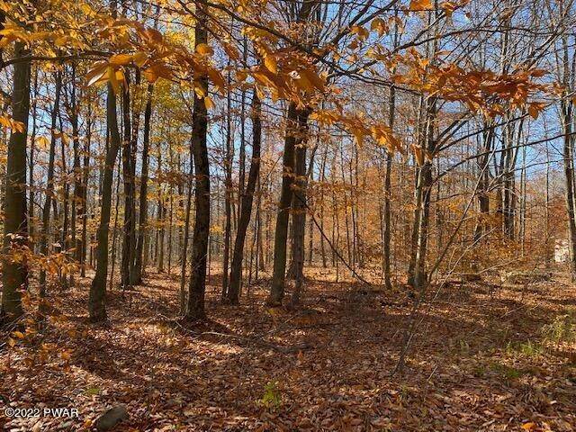 16. Land for Sale at Timbertop Acres Newfoundland, Pennsylvania 18445 United States