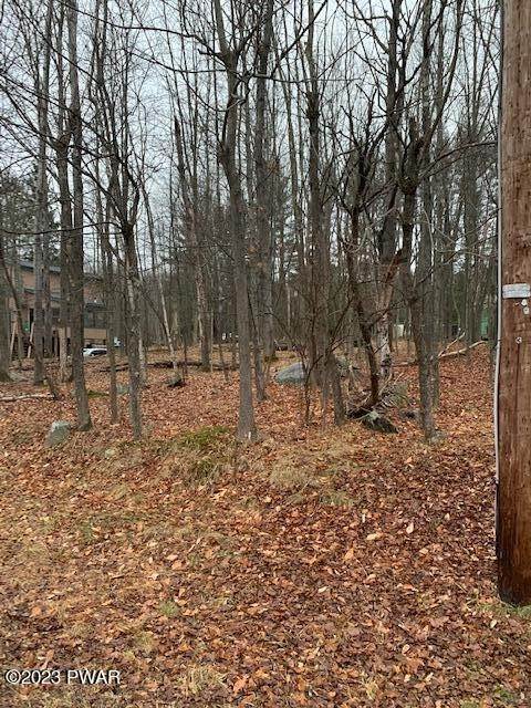 2. Land for Sale at 86 Deerfield Rd Lake Ariel, Pennsylvania 18436 United States