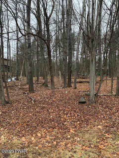 4. Land for Sale at 86 Deerfield Rd Lake Ariel, Pennsylvania 18436 United States