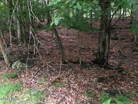 6. Land for Sale at 2 Commanche Cir Lake Ariel, Pennsylvania 18436 United States