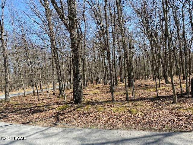 Land for Sale at Lot 90 Deer Trail Dr Hawley, Pennsylvania 18428 United States