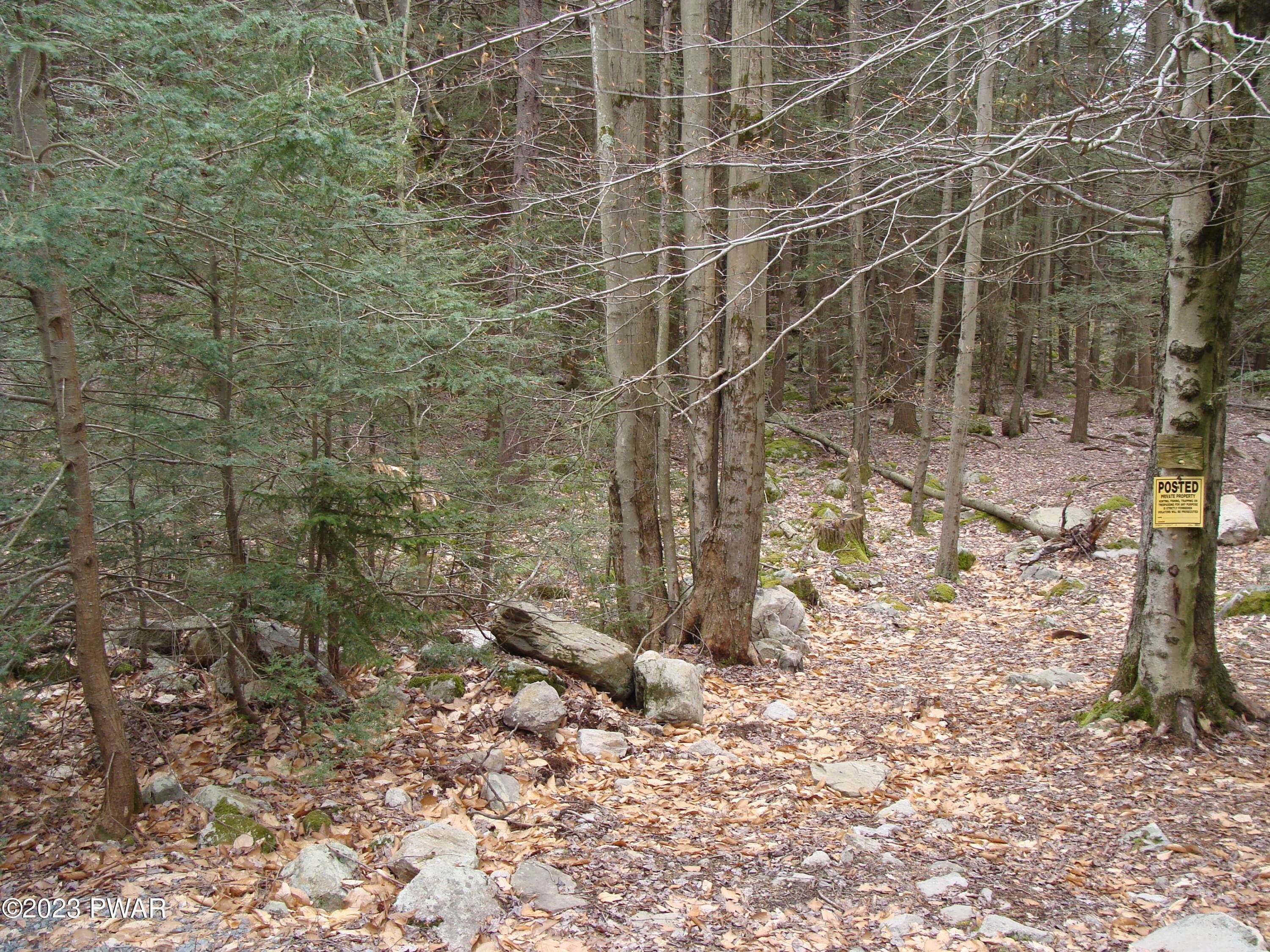 Land for Sale at Antler Dr Canadensis, Pennsylvania 18325 United States