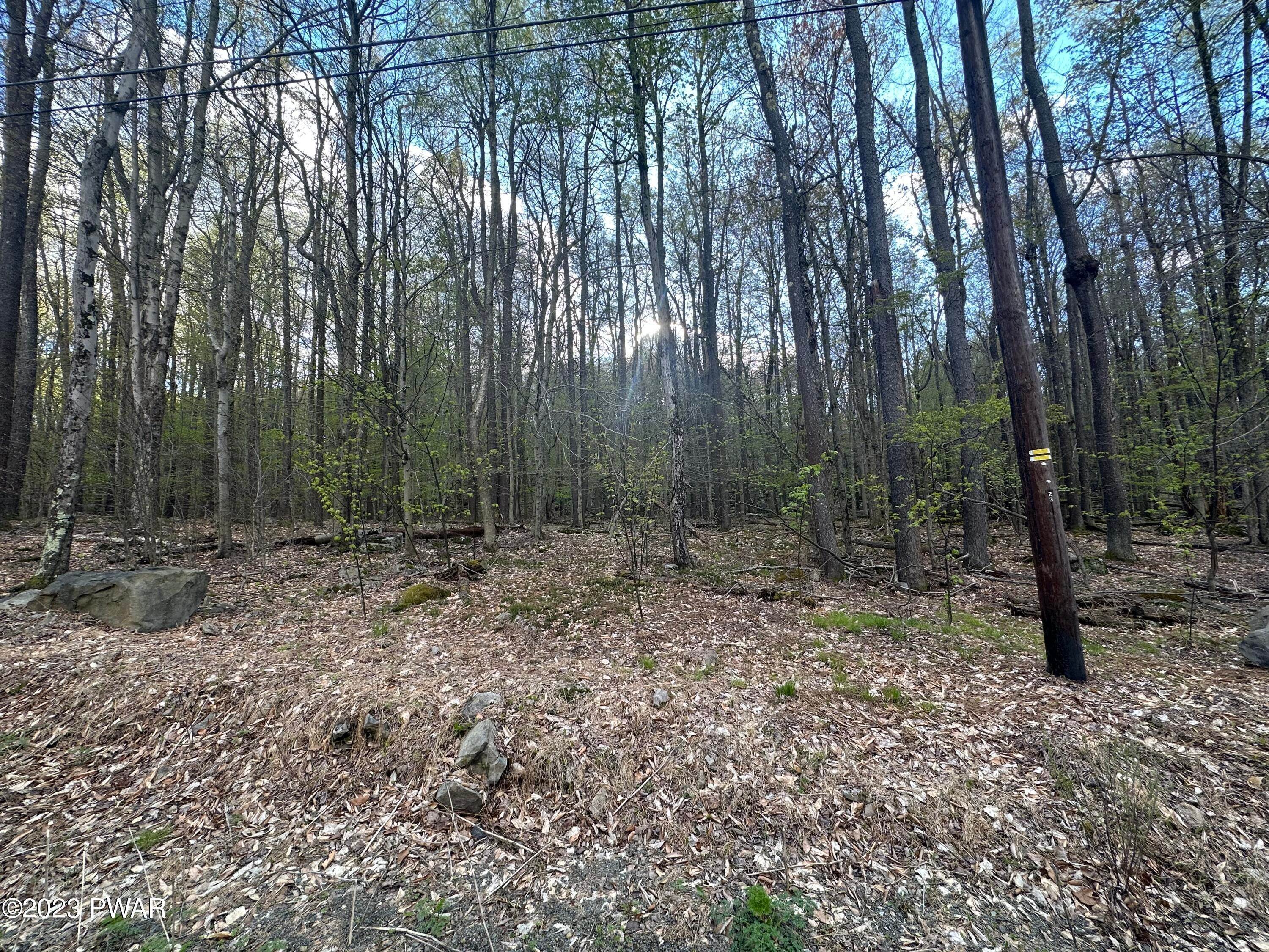 Land for Sale at 85 Fountain Dr Gouldsboro, Pennsylvania 18424 United States