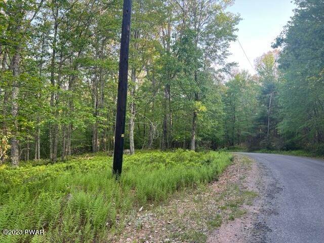 Land for Sale at Willows Ct Hawley, Pennsylvania 18428 United States