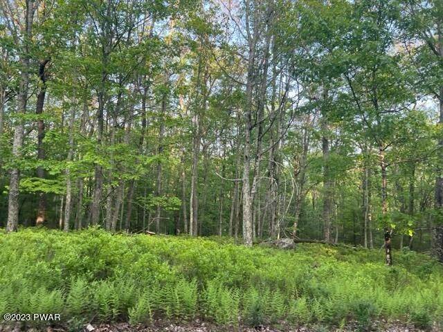 5. Land for Sale at Willows Ct Hawley, Pennsylvania 18428 United States