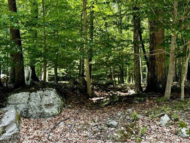 3. Land for Sale at 904 Laurel Dr Paupack, Pennsylvania 18451 United States