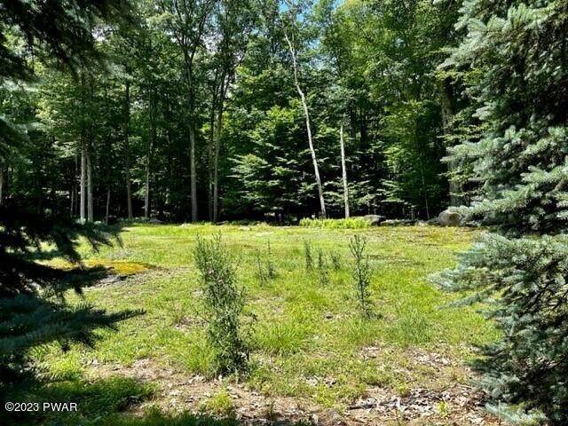 6. Land for Sale at 904 Laurel Dr Paupack, Pennsylvania 18451 United States