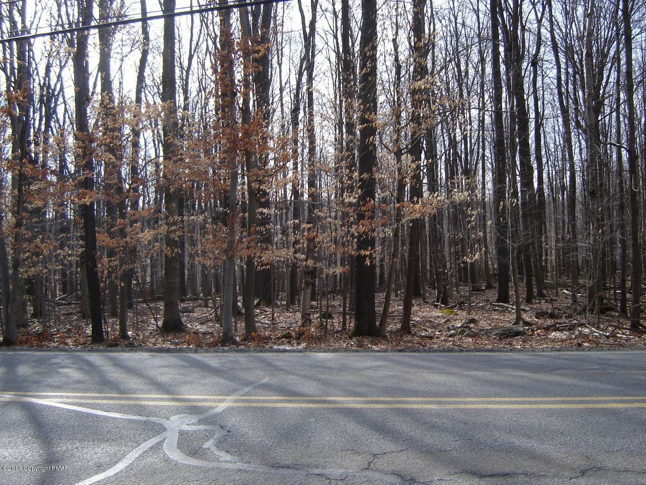 2. Land for Sale at 404-C Big Bass Drive Gouldsboro, Pennsylvania 18424 United States